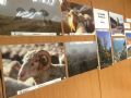 Exposicin fotogrfica sobre la trashumancia en el Colegio de Veterinarios de Zaragoza