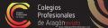 Nuevo nmero de la Revista de los Colegios Profesionales de Aragn (edicin invierno)