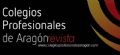 Lanzamiento del nmero 26 de la Revista de los Colegios Profesionales de Aragn (COPA)