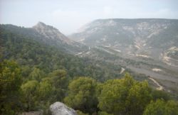 Ampliar foto: 