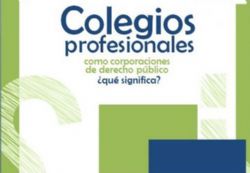 Ampliar foto: Colegios profesionales como corporaciones de derecho pblico, qu significa?