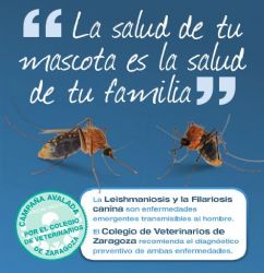 Ampliar foto: Campaa de prevencin y diagnstico de la filariosis y leishmaniosis