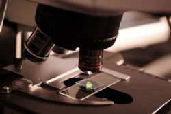 Ampliar foto: El Colegio de Mdicos de Zaragoza convoca sus becas formativas y ayudas a sociedades cintificas